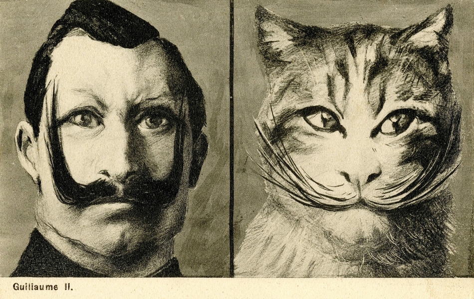 Carte postale en noir et blanc ayant pour titre "Guillaume II". Elle représente côte à côte le portrait de Guillaume II, à gauche et la tête d'un chat, à droite, afin de montrer les ressemblances qui existent entre les deux portraits : yeux, nez et moustaches.