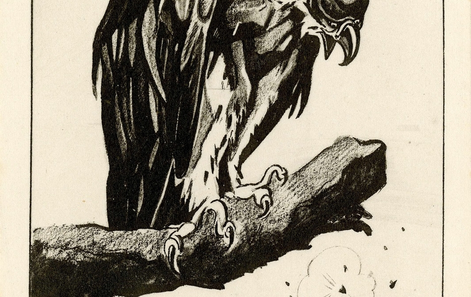 Carte postale en noir et blanc ayant pour titre "La fin du rapace". L'aigle du Kaiser, accroché à une branche sans feuille, regarde en bas, le bec ouvert, les éclats des balles. Il porte un [chapeau ?] sur la tête.