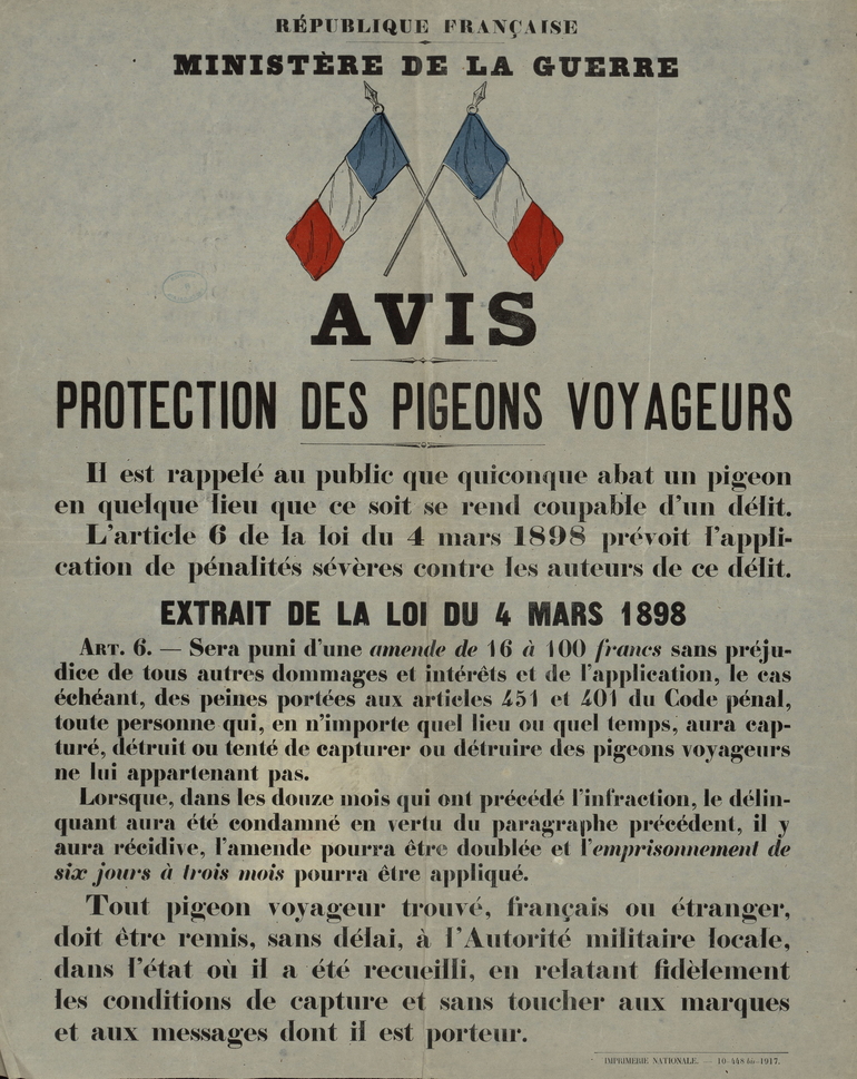 Affiche sur laquelle on lit : "Avis. Protection des pigeons voyageurs. Il est rappelé au public que quiconque abat un pigeon en quelque lieu que ce soit se rend coupable d'un délit. L'article 6 de la loi du 4 mars 1898 prévoit l'application de pénalités sévères contre les auteurs de ce délit. Extrait de la loi du 4 mars 1898. Article 6 : Sera puni d'une amende de 16 à 100 francs sans préjudice de tous autres dommages et intérêts et de l'application, le cas échéant, des peines portées aux articles 451 et 041 du Code pénal, toute personne qui, en n'importe quel lieu ou quel temps, aura capturé, détruit ou tenté de capturer ou détruire des pigeons voyageurs ne lui appartenant pas. Lorsque, dans les douze mois qui ont précédé l'infraction, le délinquant aura été condamné en vertu du paragraphe précédent, il y aura récidive, l'amende pourra être doublée et l'emprisonnement de six jours à trois mois pourra être appliqué. Tout pigeon voyageur trouvé, français ou étranger, doit être remis, sans délai, à l'autorité militaire locale, dans l'état où il a été recueilli, en relatant fidèlement les conditions de capture et sans toucher aux marques et aux messages dont il est porteur".