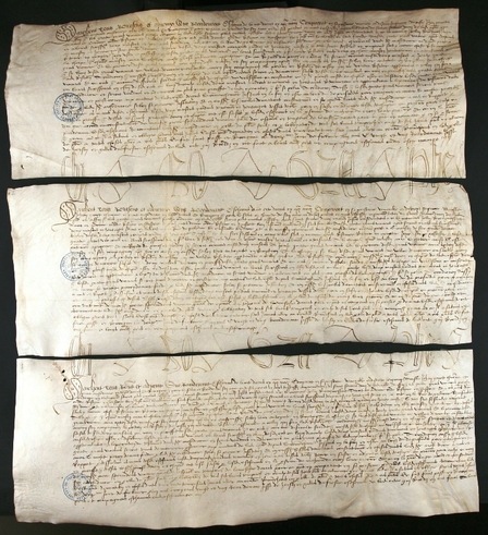 Texte manuscrit sur parchemin en trois parties.
