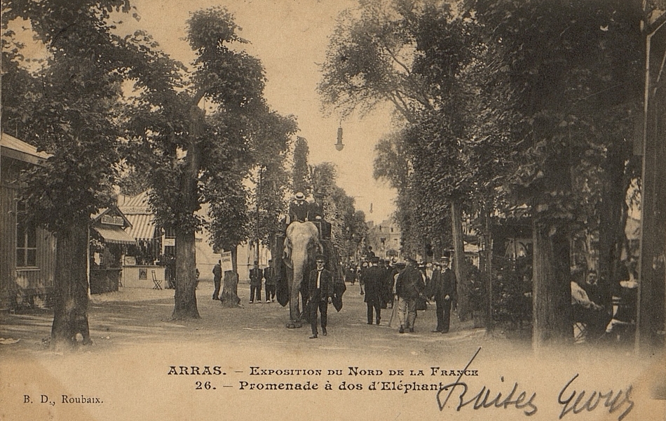 Carte postale noir et blanc montrant une allée arborée peuplée de passants. Au premier plan avance un éléphant portant deux personnes et guidé par un homme.