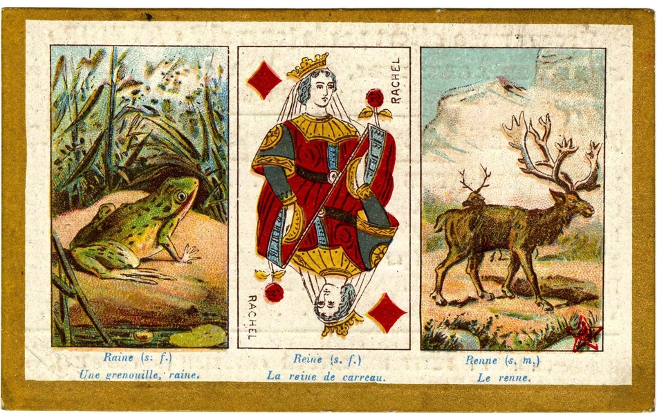 Tryptique couleur avec légendes. La première image représente une grenouille au milieu d'herbes, annotée "Raine (s. f.) Une grenouille, raine". La seconde est une carte à jouer, en l'occurence une dame de carreau nommée "Rachel"; en-dessous on lit "Reine (s. f.) La reine de carreau". Enfin une renne occupe la troisième image, représenté devant une montagne, au-dessus de la légende "Renne (s. m.) Le renne".