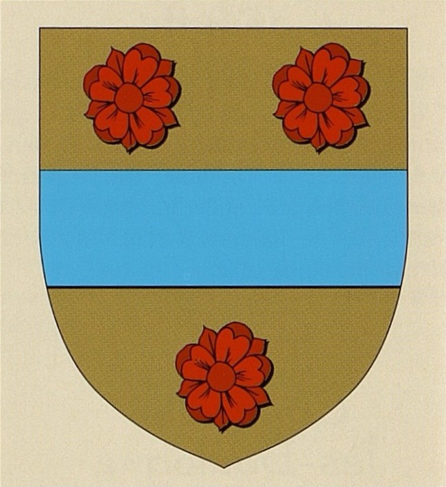Blason d'Echinghen.