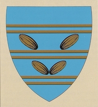 Blason de Mondicourt.