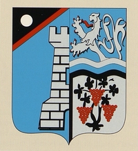 Blason de Ruminghem.