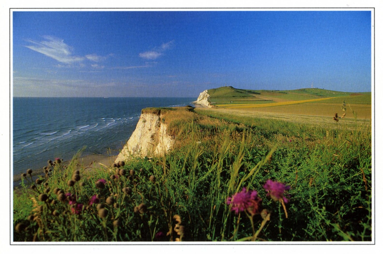 Carte postale couleur montrant une cote couverte de végétation. À l'arrière plan, la mer.