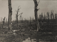 Photographie noir et blanc montrant des ruines dans un parc.