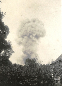 Photographie noir et,blanc montrant un ^panache de fumée s'élevant au-dessus d'arbres.