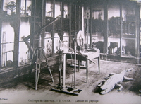 Carte postale noir et blanc montrant une pièce emplie de matériel scientifique. Par terre, un crocodile empaillé.