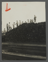 Photographie noir et blanc montrant un tas de bois sur lequel est juchée une dizaine d'hommes. 