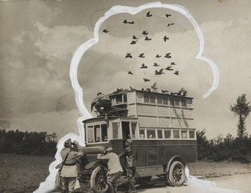 Photographie noir et blanc montrant un camion militaire duquel s'envole une nuée de pigeons.