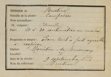 Cartel d'herbier.
