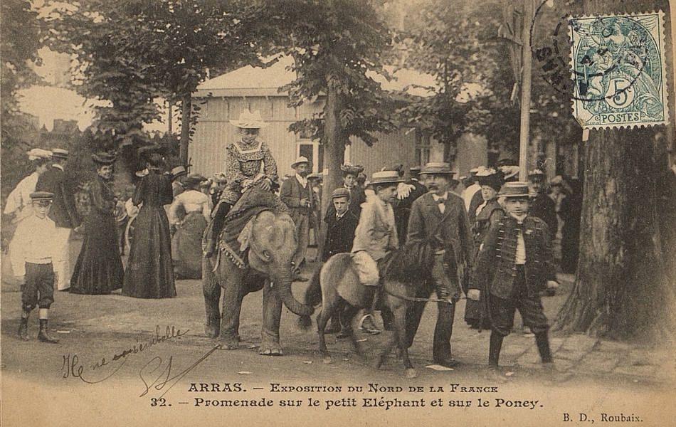 Carte postale noir et blanc où l'on voit un groupe de personnes debout entre les arbres. Certains regardent un poney et un éléphanteau tirés par des guides et montés par des enfants.