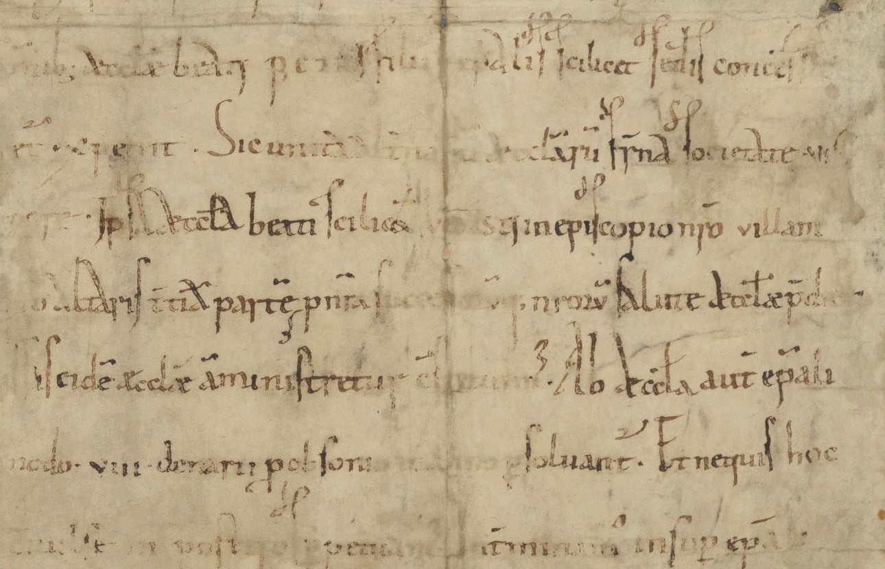 Photographie couleur montrant le détail d'un parchemin sur lequel on voit des écritures effacées.