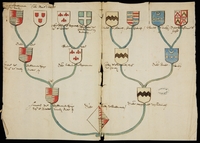 Branches reliant quinze blasons aquarellés appartenant à Hedwige de Bailliencourt, à ses parents et ses aïeux.
