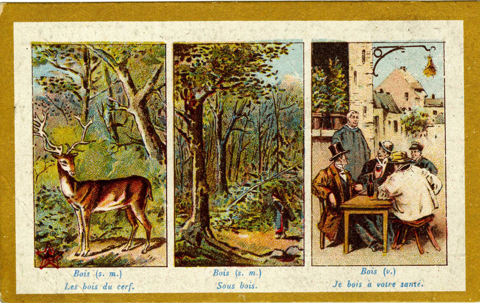 Triptyque couleur avec légendes. La première image représente un cerf dans une forêt, en-dessous on lit "Bois (s. m.) Les bois du cerf". La seconde montre une forêt dans laquelle passe une femme chargée d'un fagot, avec cette légende "Bois (s. m.) Sous bois". Enfin, sur la troisième, quatre hommes sont attablés sur une place devant une bouteille de vin. En-dessous est noté "Bois (v.) Je bois à votre santé".