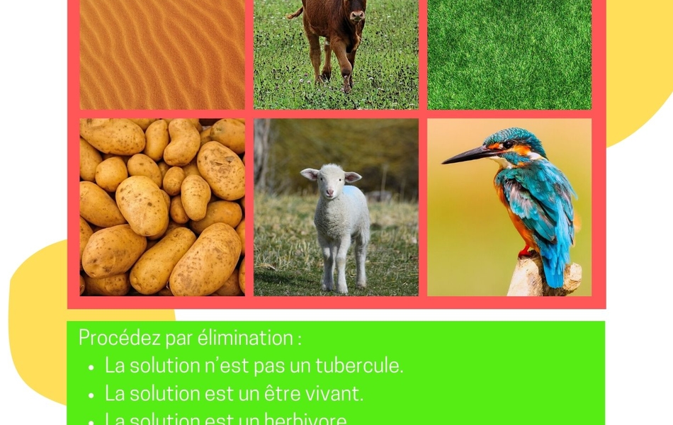 Texte suivant : "Quatrième énigme. L'origine du prochain matériau se trouve parmi ces images (vous pourrez l'éliminer de la liste)". Suit 6 images et le texte suivant : "Procédez par élimination : la solution n'est pas un tubercule. La solution est un être vivant. La solution est un herbivore. La solution est un vivipare. La solution appartient à l'espèce des Bos taurus".