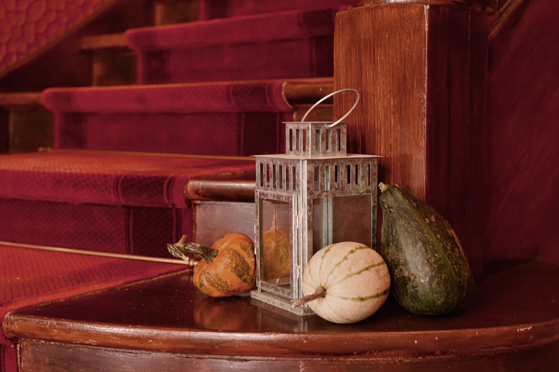 photographie montrant la première marche de l'escalier du château garnie de lanternes et de citrouilles