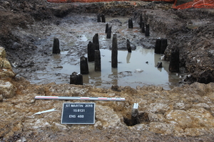 Photo des vestiges d’une trentaine de pieux dépassant du sol.